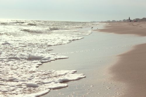 beach sand shore