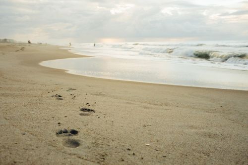 beach sand footprints