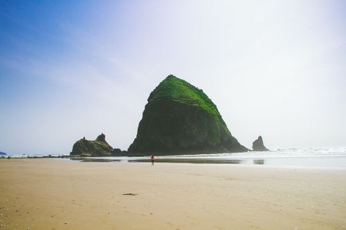 beach sand shore