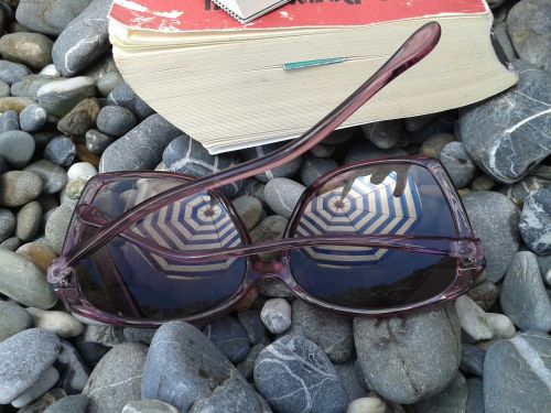 beach sunglasses book