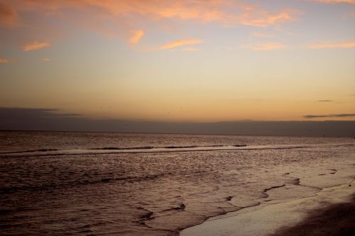 beach summer sunset