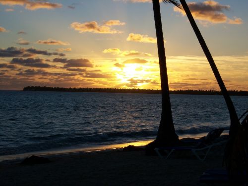 beach sunrise palm tree