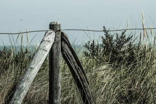 beach dune fence