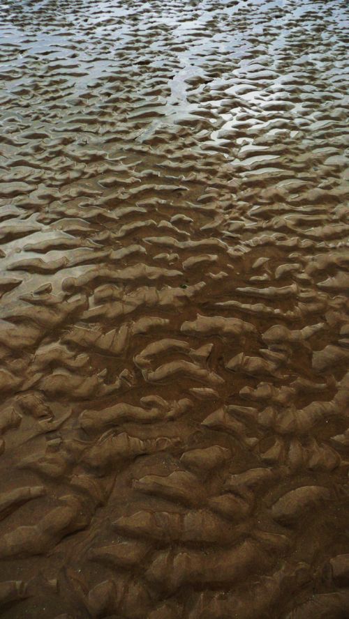 Beach After Low Tide