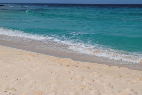 Beach Background