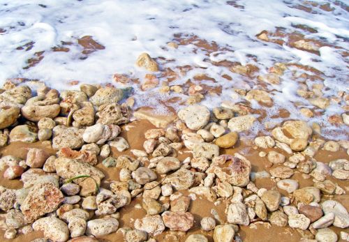 Beach Background