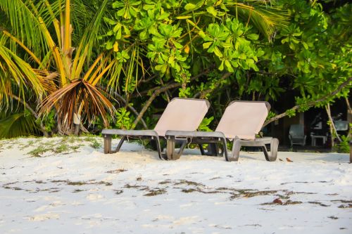 beach chair palm beach