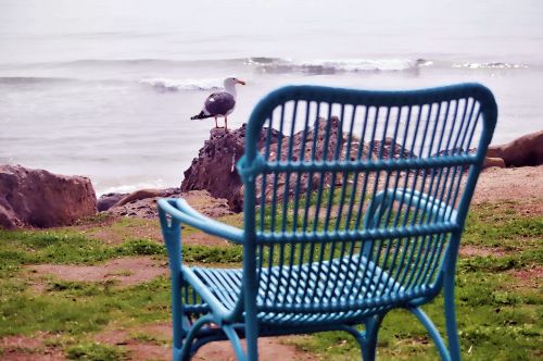 Beach Chair And The Gull