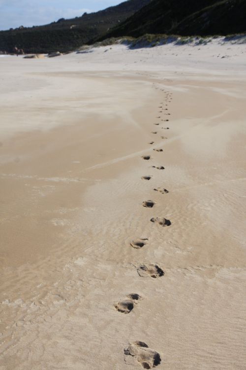 Beach Footprints