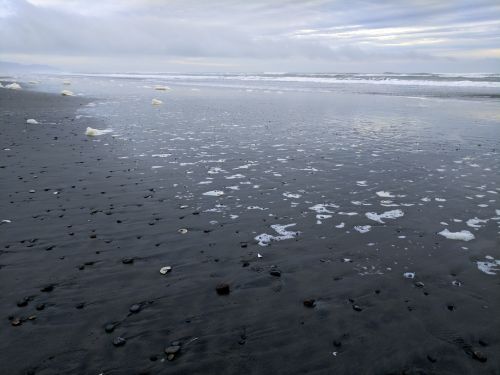 Beach Landscape