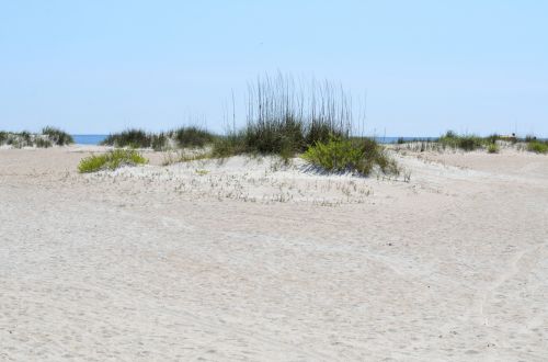 Beach Sand Dunes