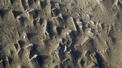 Beach Sand Pattern