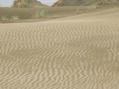 Beach Sand Patterns