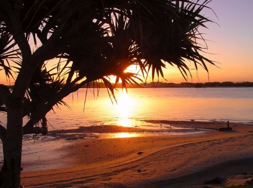 beach sunrise peaceful coastline