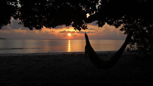 beach sunset hammock tropical