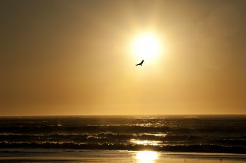 Beach Sunset