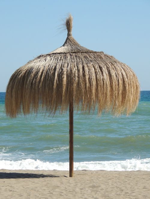 beach umbrella sea nature