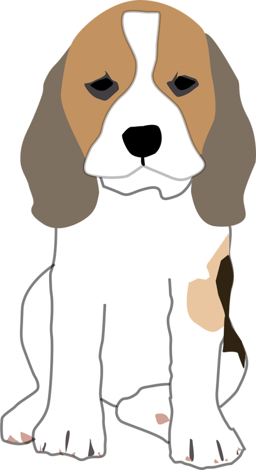beagle dog first