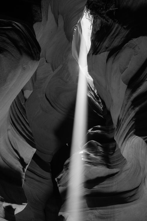 beam antelope valley black and white