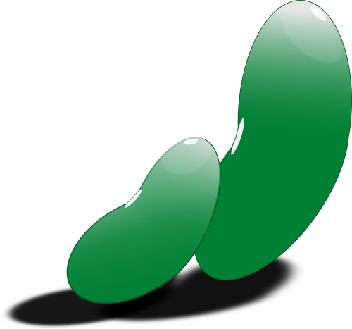 bean beans green
