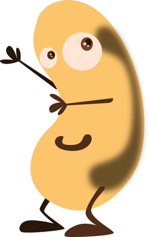 bean potato face