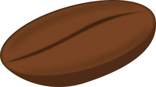 bean coffee seed