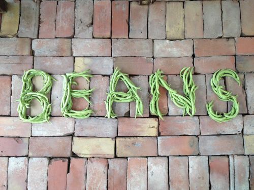 beans vegetables vegetarian