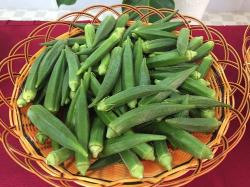 beans muscles green