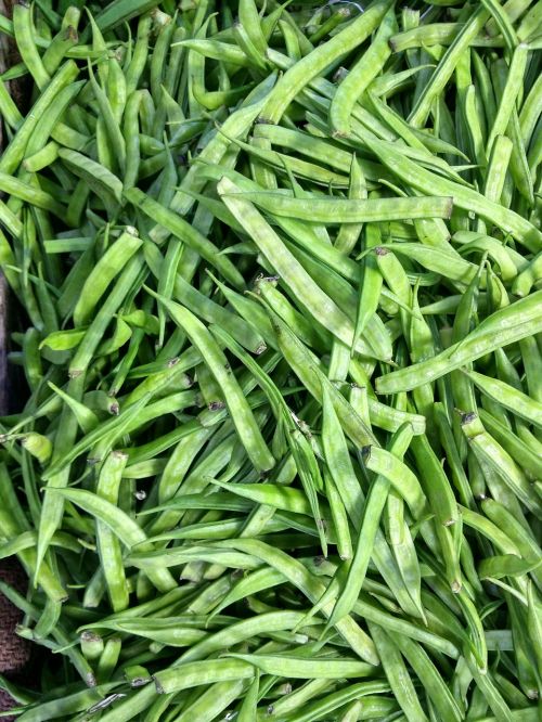 beans vegetable green