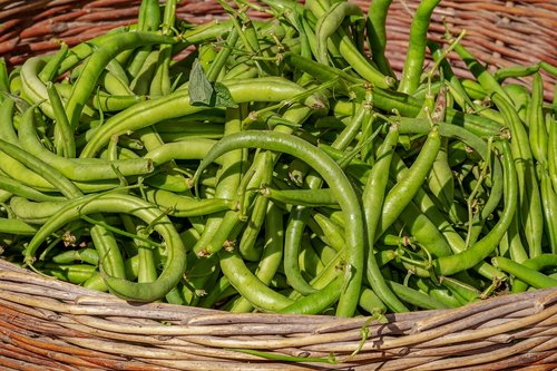beans  vegetables  basket