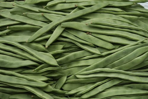 beans  food  vegetable