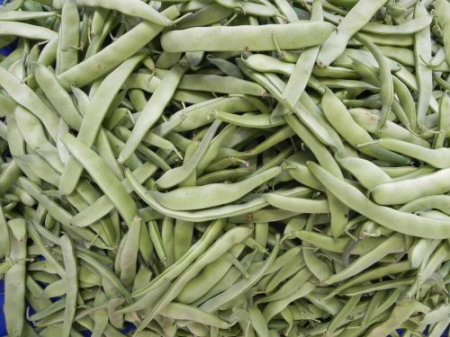 beans green food