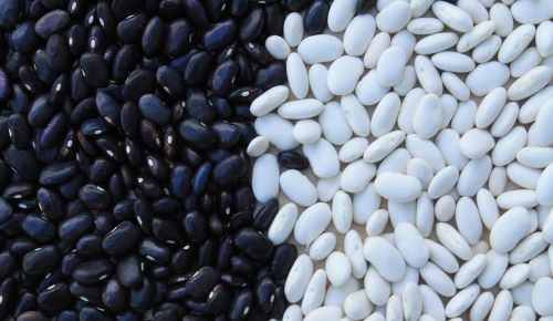 beans black background