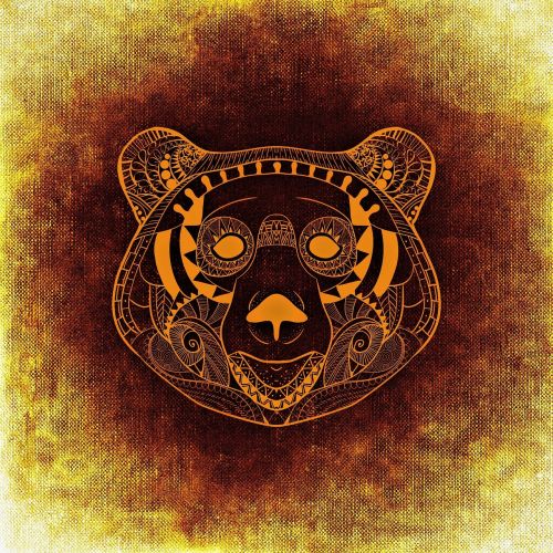 bear wild animal abstract