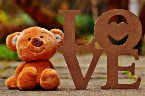 bear teddy love