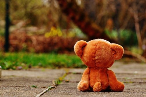 bear teddy lonely