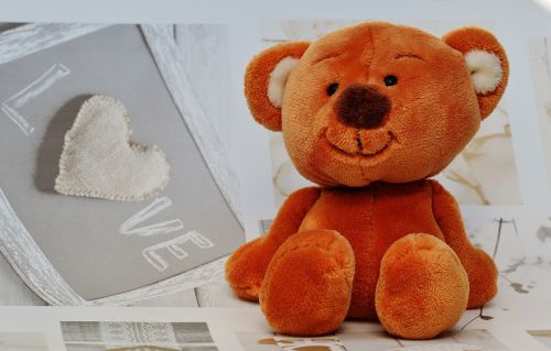 bear teddy cute