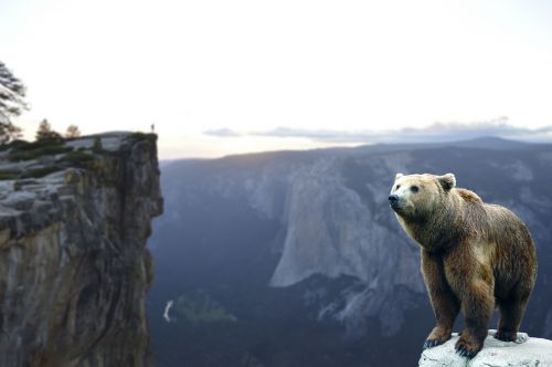 bear mountain wait
