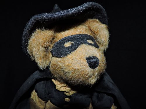 bear stuffed animal witch