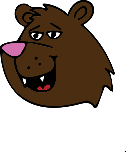 bear brown teddy