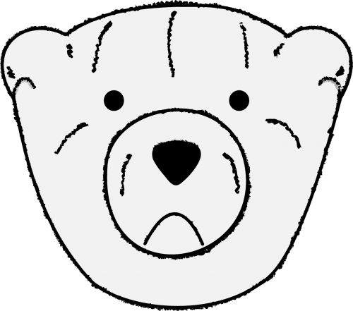 bear face teddy