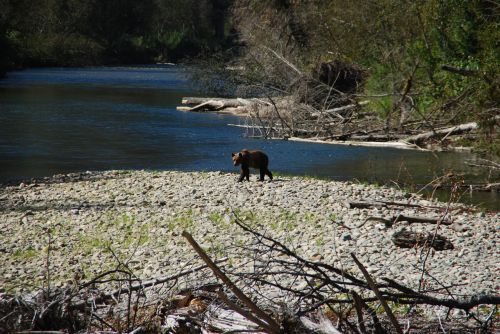 bear river free