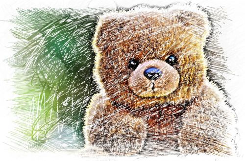 bear teddy drawing