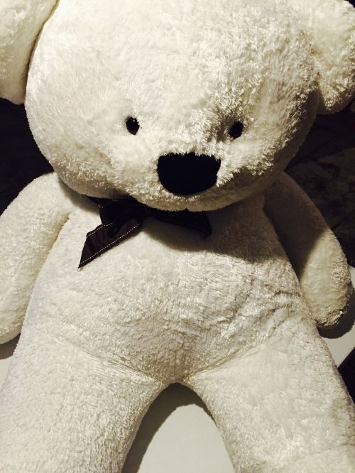 bear stuffed toy teddy bear