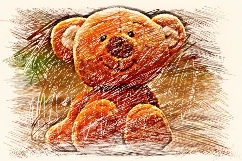 bear teddy drawing