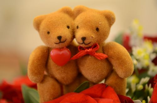 bear love heart