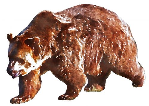 bear savage beast watercolor