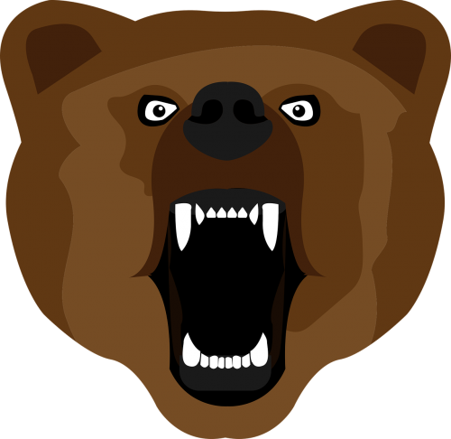 bear brown set
