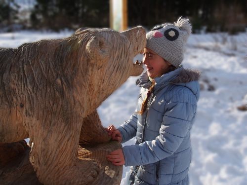 bear nature snow