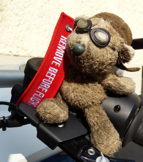 bear motorcycle glasses